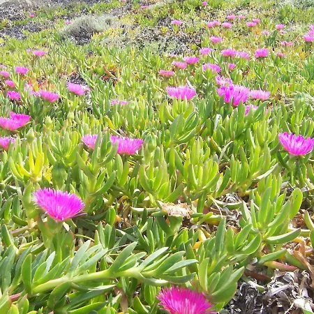 Πανσιόν Affitacamere Jil